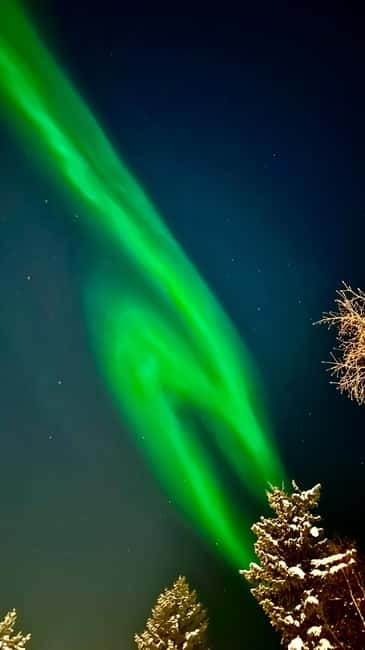 Inari/Ivalo: Aurora Hunting Tour by Car with Warm Drinks - The best part is the guide’s decision-making