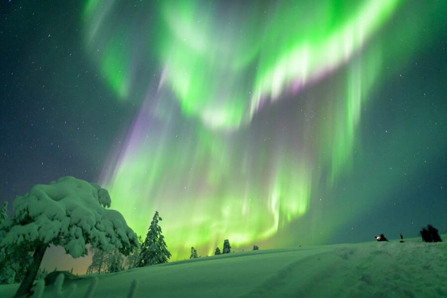 Inari: Northern Lights Hunt Snowmobile Safari - Riding through the forest after sunset