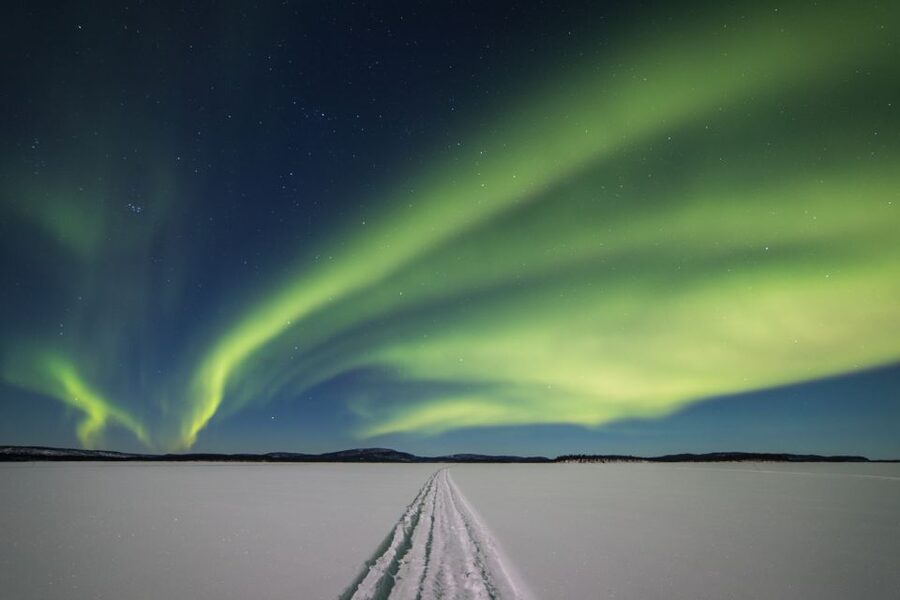 Ivalo: Lake Inari Northern Lights Tour w/ Reindeer & Dinner - Feeding reindeer at the island stop