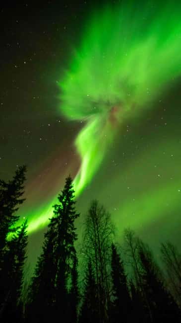 Kemijärvi: Insider Guided Aurora Hunting - Key points at a glance
