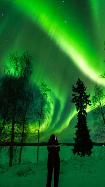 Kemijärvi: Insider Guided Aurora Hunting - Who will enjoy this outing most