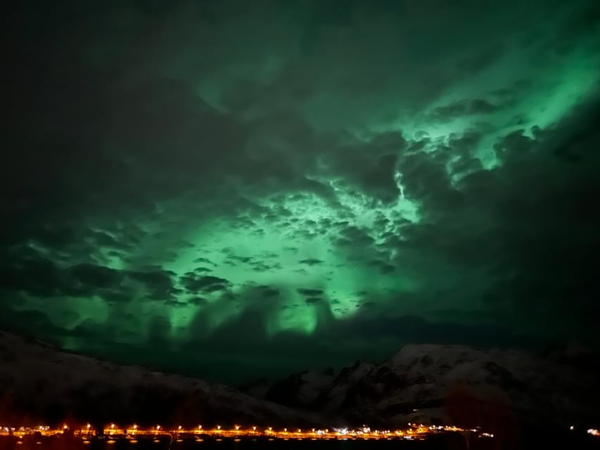 Kirkenes: Northern Lights Chase Tour - The real value of a $786 private-capacity booking