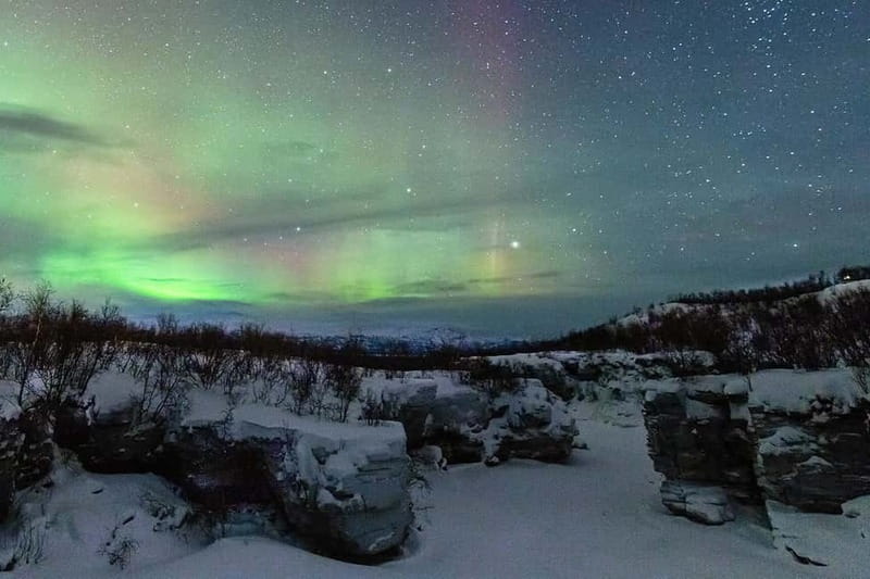 Kiruna: Abisko Northern Lights Tour with Dinner - A three-course dinner in Abisko