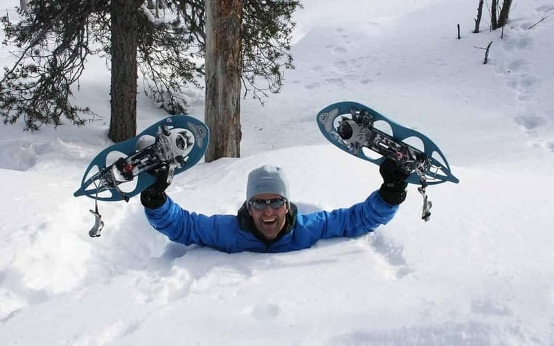 Kiruna: Snowshoe Trek with Aurora Hunt and Warm Beverage - Key points at a glance