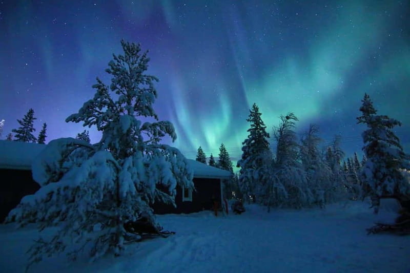 Kiruna: Snowshoe Trek with Aurora Hunt and Warm Beverage - Following the forest trail by starlight