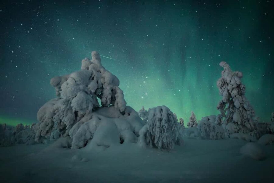 LEVI Adults Only Northern Lights Hunt with Snowshoeing - Key points to know before you book