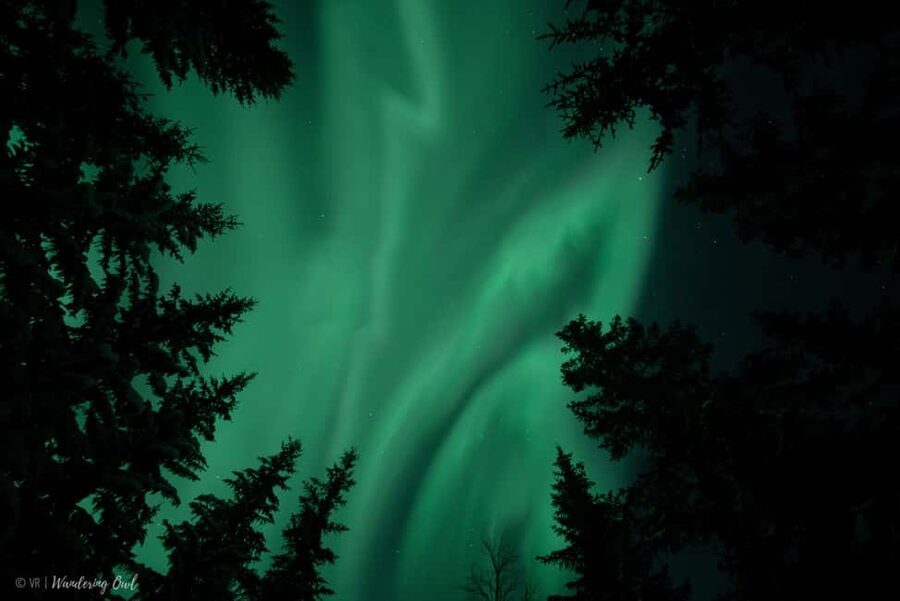 LEVI Adults Only Northern Lights Hunt with Snowshoeing - Why this is more than a Northern Lights stop