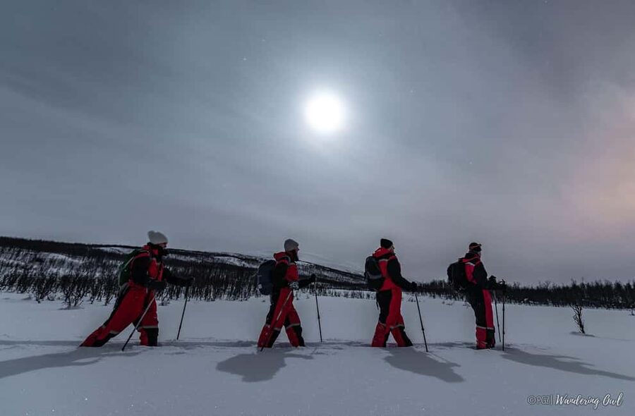 LEVI Adults Only Northern Lights Hunt with Snowshoeing - Snowshoeing through the forest