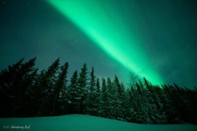 LEVI Adults Only Northern Lights Hunt with Snowshoeing