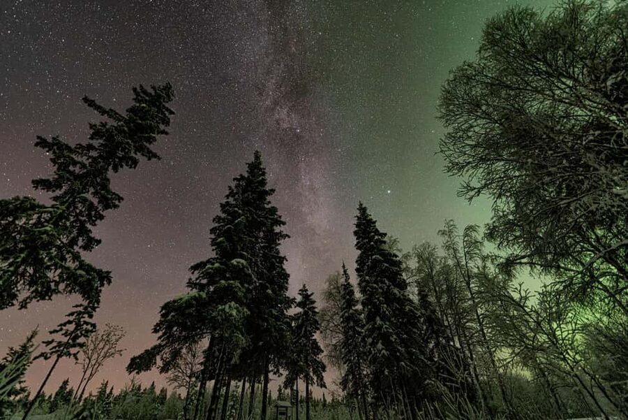 LEVI Adults Only Northern Lights Hunt with Snowshoeing - Chasing the aurora instead of waiting for it