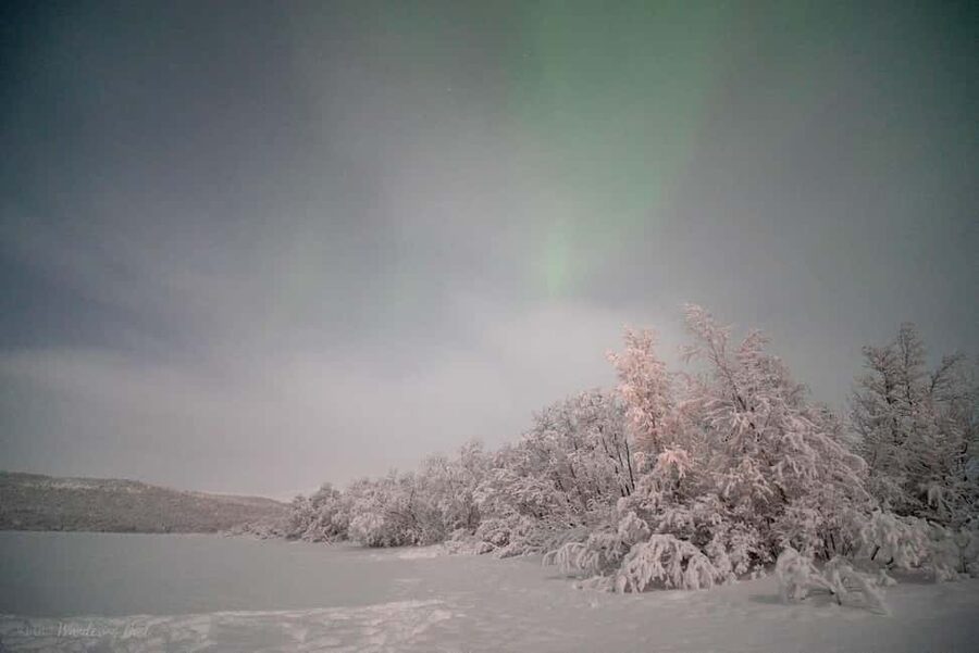 LEVI Adults Only Northern Lights Hunt with Snowshoeing - Photography help and professional images