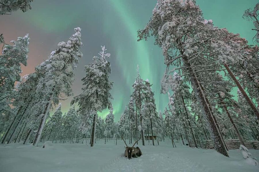 LEVI Adults Only Northern Lights Hunt with Snowshoeing - What the $259 price includes