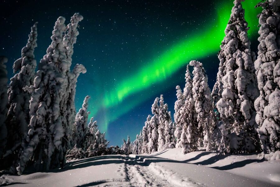 Levi: Best & Original Northern Lights Hunting & photography - Guides who make the difference