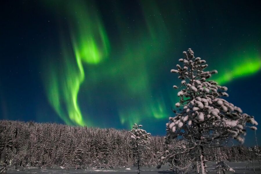 Levi: Northern Lights Campfire - Key points at a glance