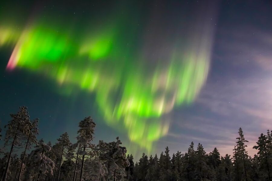 Levi: Northern Lights Hunting Photo Tour - Key points before you book