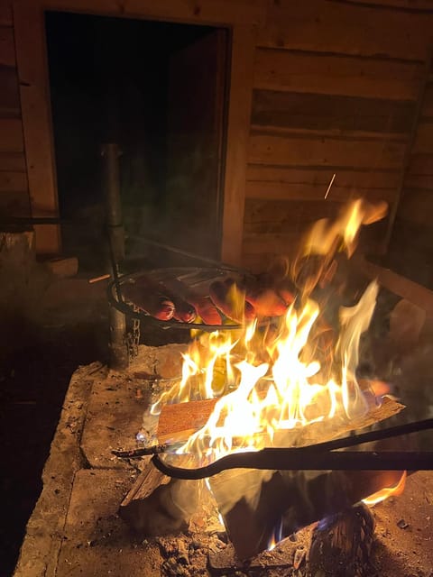 Levi: Northern Lights in Peace and Privacy - by Private Lake - Key points to know before you book