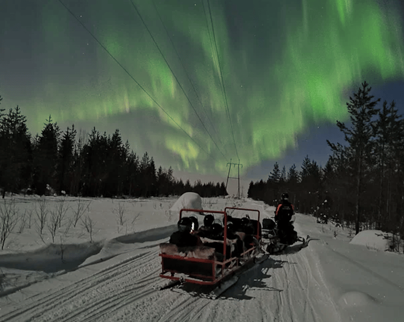 Levi: Northern Lights Sledge Ride - Stopping beneath the Northern Lights sky