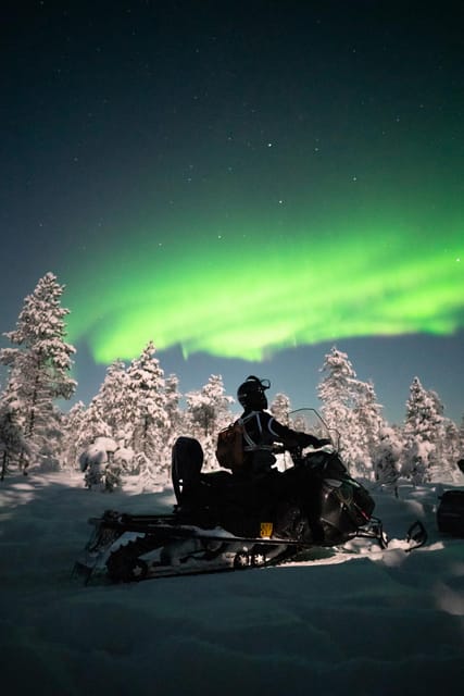 Levi: Northern Lights Sledge Ride - The sledge ride through silent forests