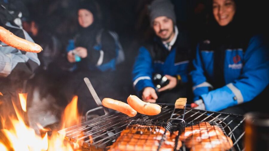 Levi: Northern Lights Snowmobile Tour with Snacks and Drinks - Key points to know before booking