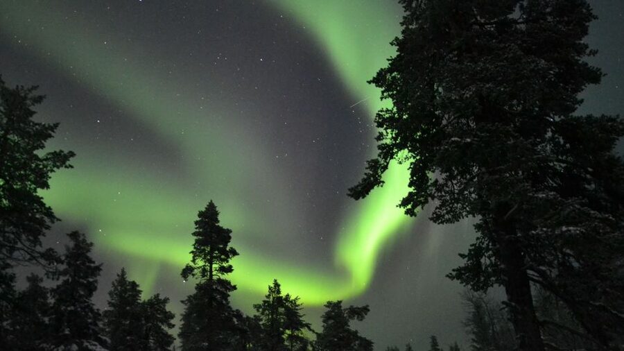 Levi: Northern Lights Snowmobile Tour with Snacks and Drinks - Who should book this night safari?