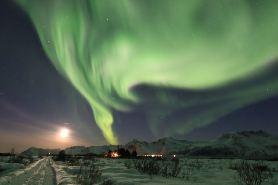 Lofoten: Northern Lights Tour with Photographer - What the guide adds to the night