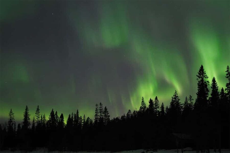 Luleå: Northern Lights Tour by Car with Swedish Treats - What happens at the campfire