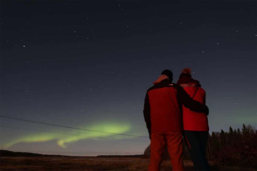 Luleå: Northern Lights Tour by Car with Swedish Treats - Who will enjoy this Luleå night most