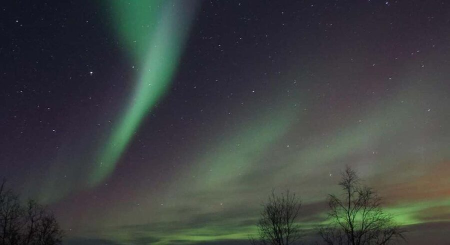 Luleå: Snowmobile Adventures & Northern Lights Hunt - Riding Into the Dark Near Mörön