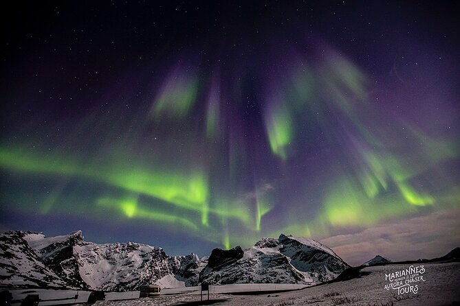 Marianne’s Heaven On Earth Aurora Chaser Tours - Price and what you receive for $291.52