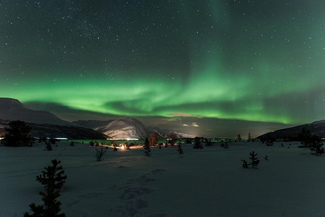 Minibus Northern Lights Chase with Photography from Tromsø - Campfire food, hot drinks, and Arctic clothing