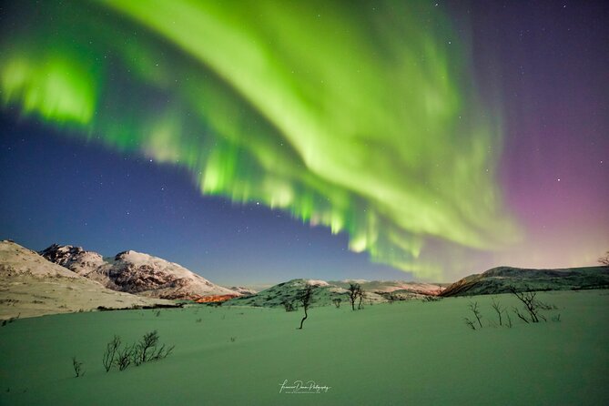 Minivan Northern Lights excursion (8 guests per minivan) - Warm clothing, hot drinks, and time outside