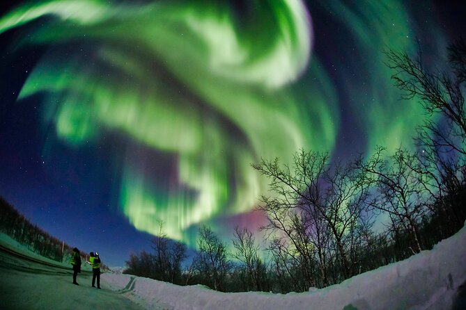 Minivan Northern Lights excursion (8 guests per minivan) - Photography help without owning a camera