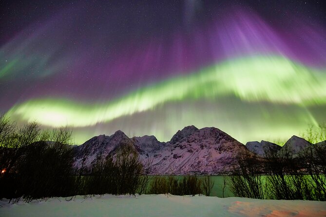 Minivan Northern Lights excursion (8 guests per minivan) - The guides can shape the night