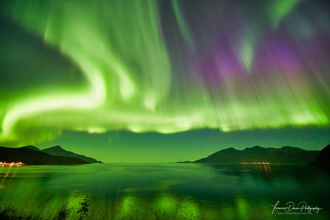Minivan Northern Lights excursion (8 guests per minivan) - Price and value at $204.51