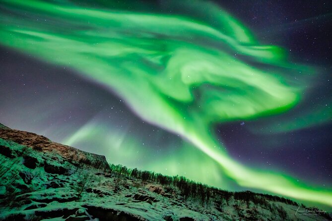 Minivan Northern Lights excursion (8 guests per minivan) - Who should book this northern lights tour?