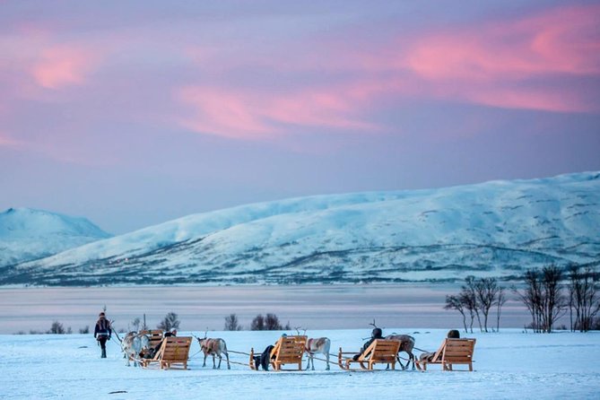 Night Reindeer Sledding with Camp Dinner and Chance of Northern Lights - What the $225.66 price really covers