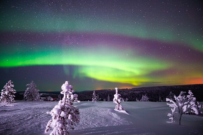 Night Snowshoeing Adventure under the Northern Lights - Into the dark forests outside Rovaniemi