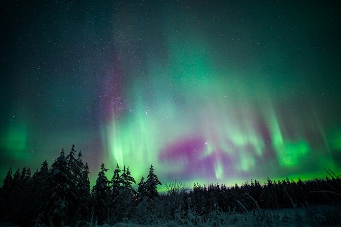 Night Snowshoeing Adventure under the Northern Lights - Small groups and the guide’s role