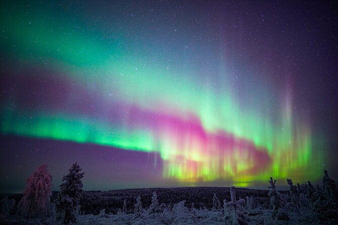 Night Snowshoeing Adventure under the Northern Lights - Transport, pickup, and the time you actually get