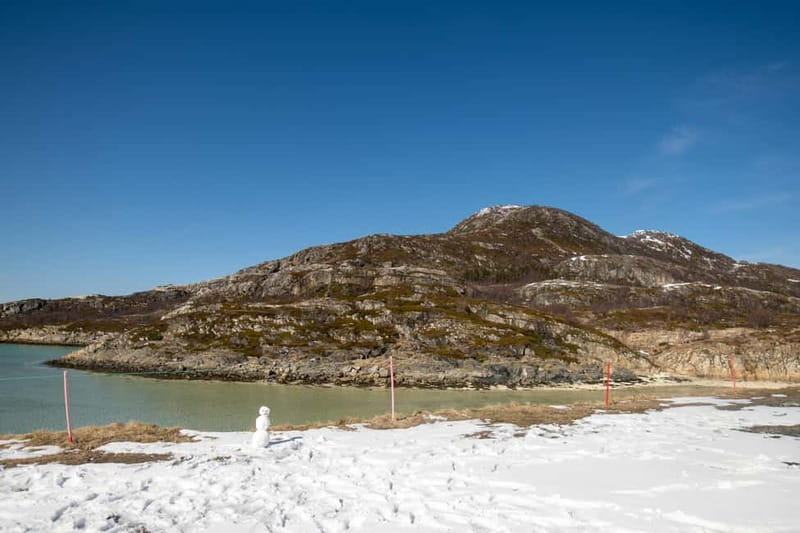 Northern Lights Adventure in Tromsø with Free Photos - Campfire food in the Arctic cold