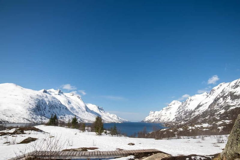 Northern Lights Adventure in Tromsø with Free Photos - Free photos, with realistic expectations
