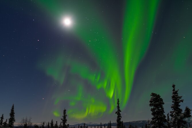 Northern Lights Adventure of a Liftetime from Anchorage - Free photos make the price easier to judge