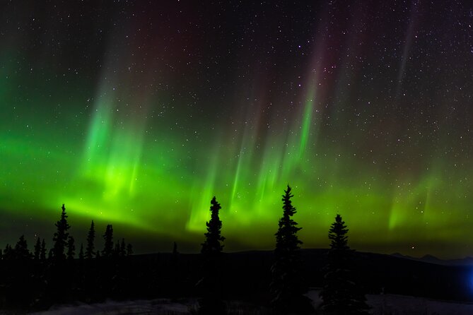 Northern Lights Adventure of a Liftetime from Anchorage - Choosing the best time between September and May