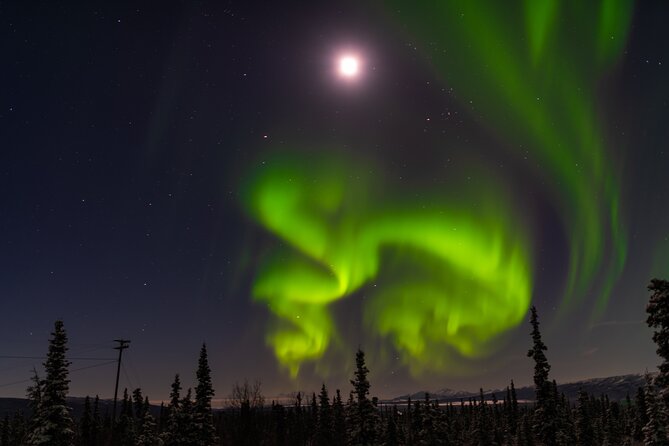 Northern Lights Adventure of a Liftetime from Anchorage - From Anchorage lights to a darker sky