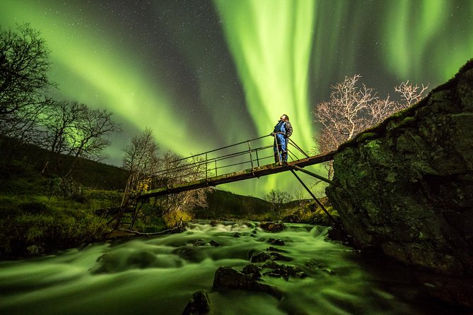 Northern Lights Adventure with Greenlander, 8 people max - The Aurora chase: science, timing, and luck