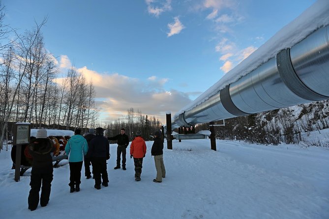 Northern Lights and Arctic Circle Trip from Fairbanks - A 14-hour Alaska road trip, not a quick photo stop