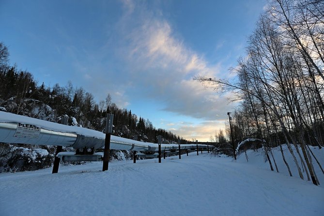 Northern Lights and Arctic Circle Trip from Fairbanks - The Dalton Highway is part of the price