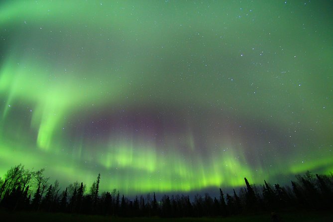 Northern Lights and Arctic Circle Trip from Fairbanks - How the northern lights portion works