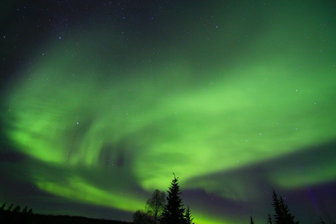 Northern Lights and Arctic Circle Trip from Fairbanks - Food, restrooms, and what to pack