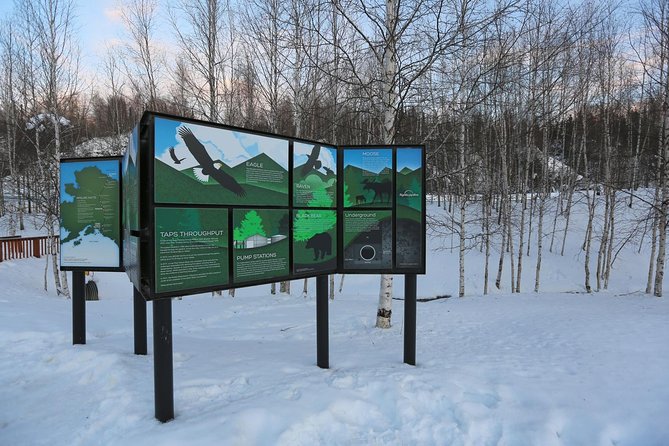 Northern Lights and Arctic Circle Trip from Fairbanks - The guide can shape the whole day